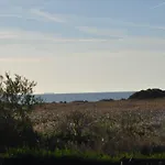 Levilla * Rewa