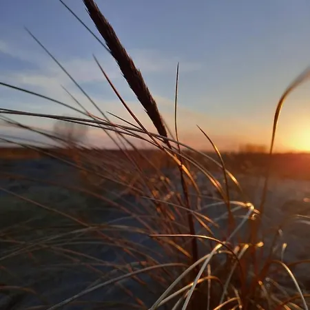 Appartamento Levilla Rewa