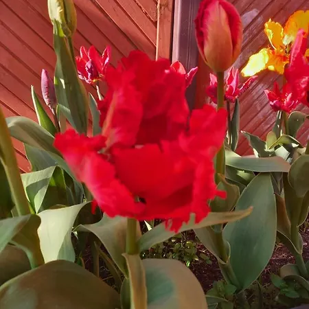 Appartamento Levilla Rewa