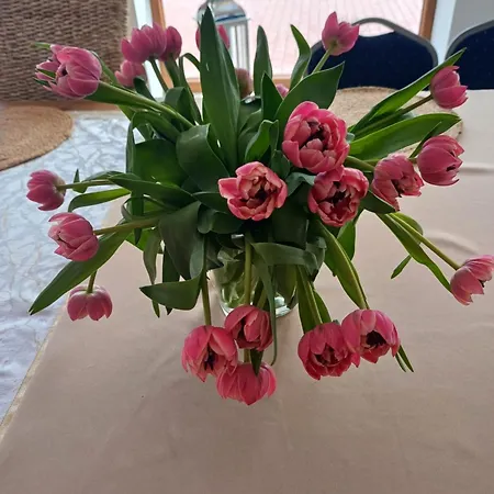 Appartamento Levilla *