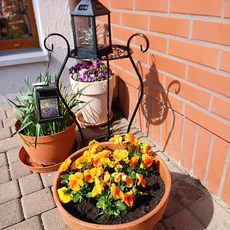 アパート Levilla