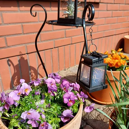 Levilla アパート レバ