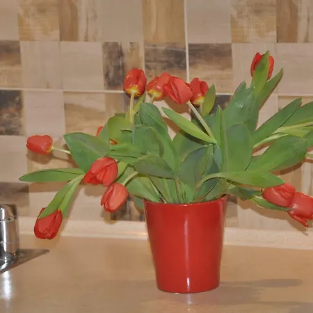 Apartment Levilla Rewa