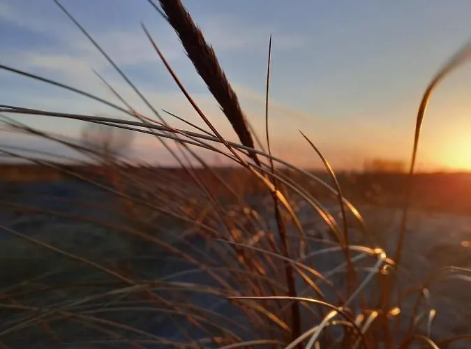 公寓 Levilla 雷瓦