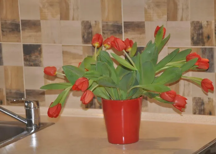 公寓 Levilla 雷瓦