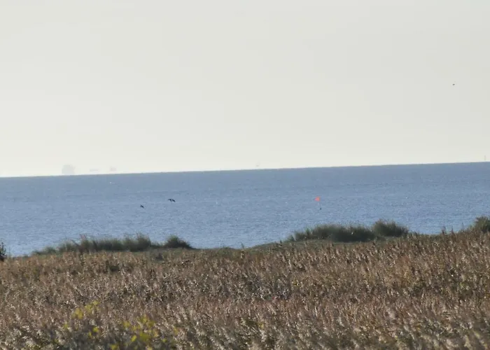 公寓 Levilla 雷瓦